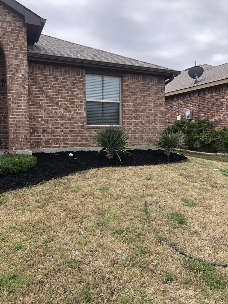 Top-rated lawn mowing service in Fort Worth, TX - Panther City Lawn Care