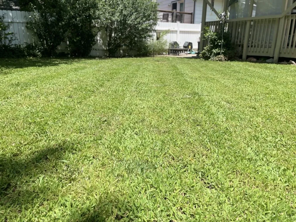 Expert outdoor landscaping in Derby, KS - Panther Lawncare