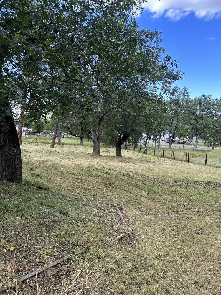 Expert lawn care service in Eagle Point, OR - Pantherlife