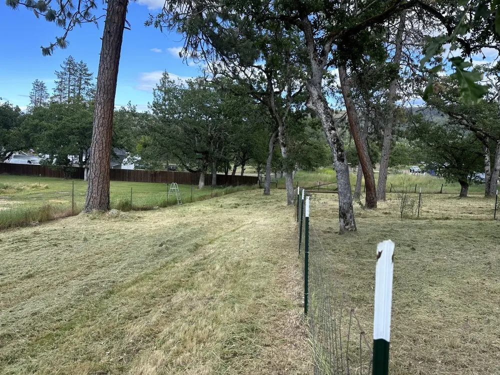 Expert lawn care service in Eagle Point, OR by Pantherlife