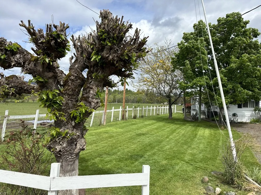 Top-rated yard maintenance with custom design in Eagle Point, OR by Pantherlife