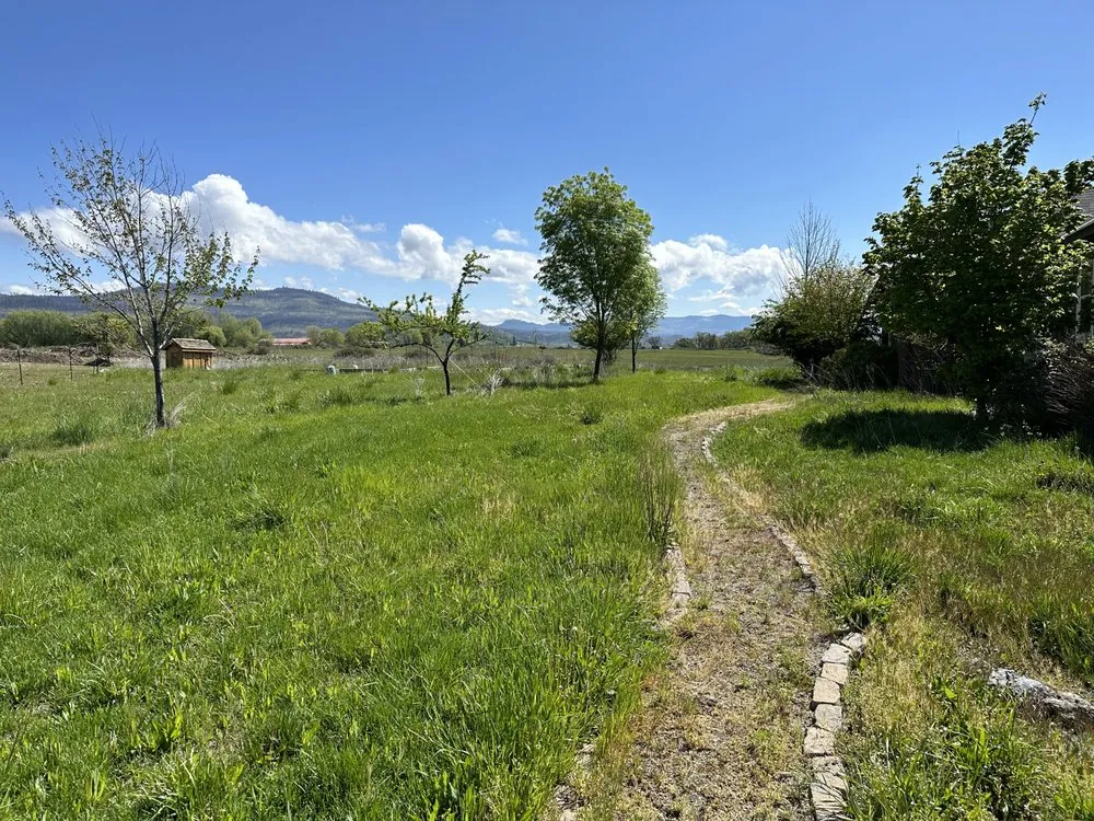 Custom outdoor landscaping experts serving Eagle Point, OR - Pantherlife