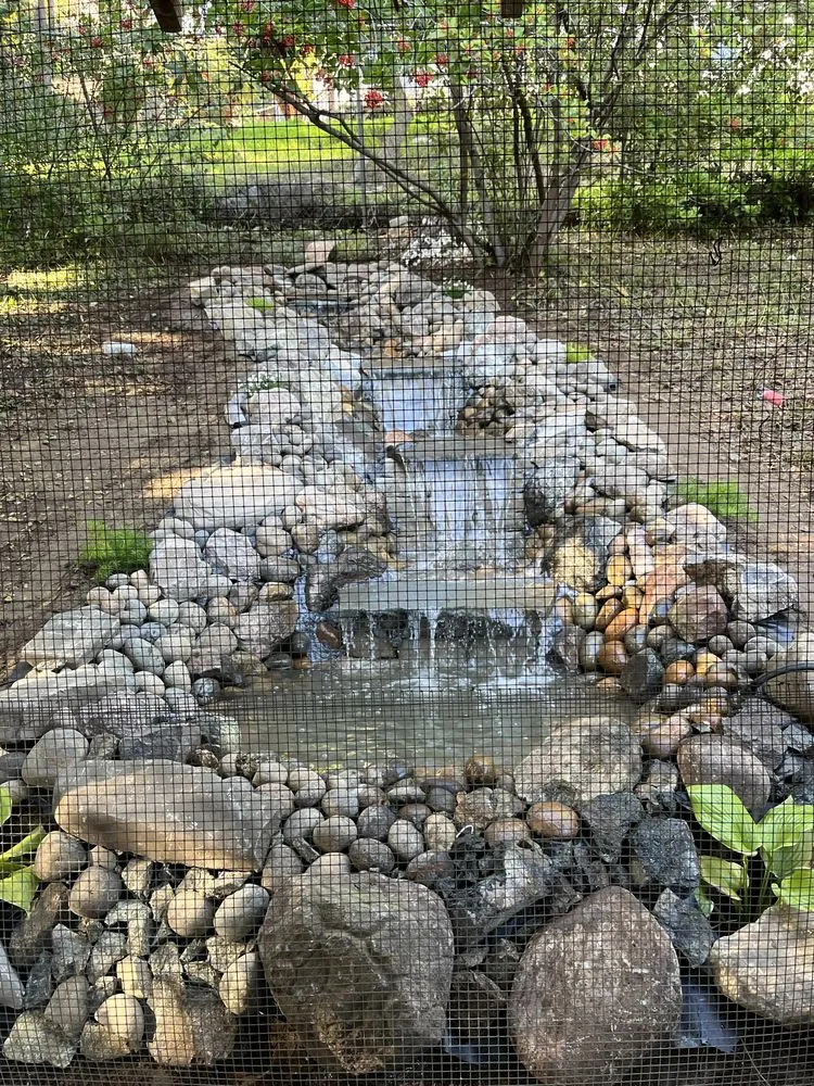 Trusted outdoor landscaping experts serving Redwood City, CA - Pantoja Garden & Landscaping Services