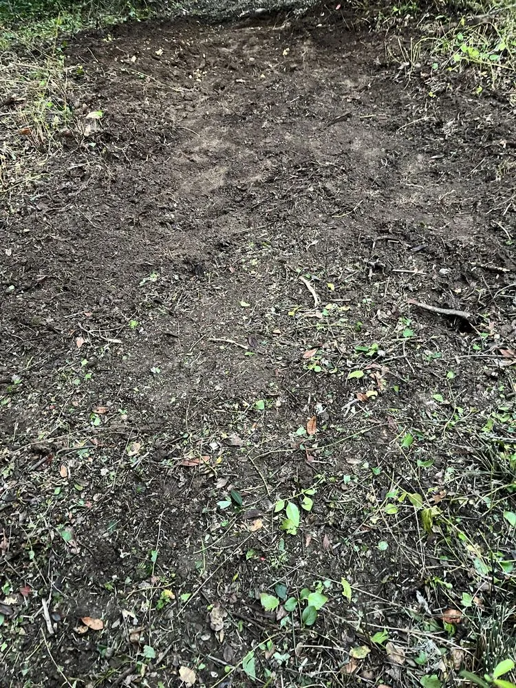 Professional lawn care service with custom design across Redwood City, CA - Pantoja Garden & Landscaping Services