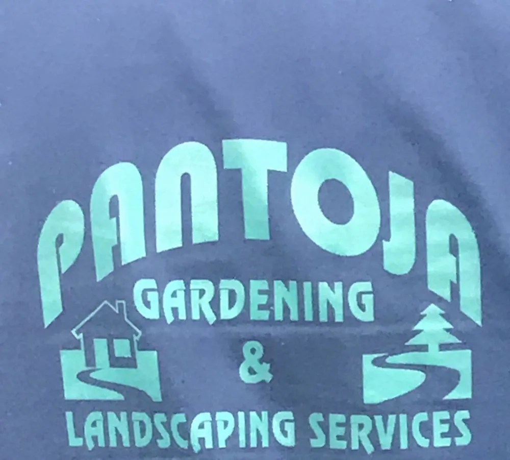 Affordable yard cleanup service in San Mateo, CA - Pantoja Gardening & Landscaping Services