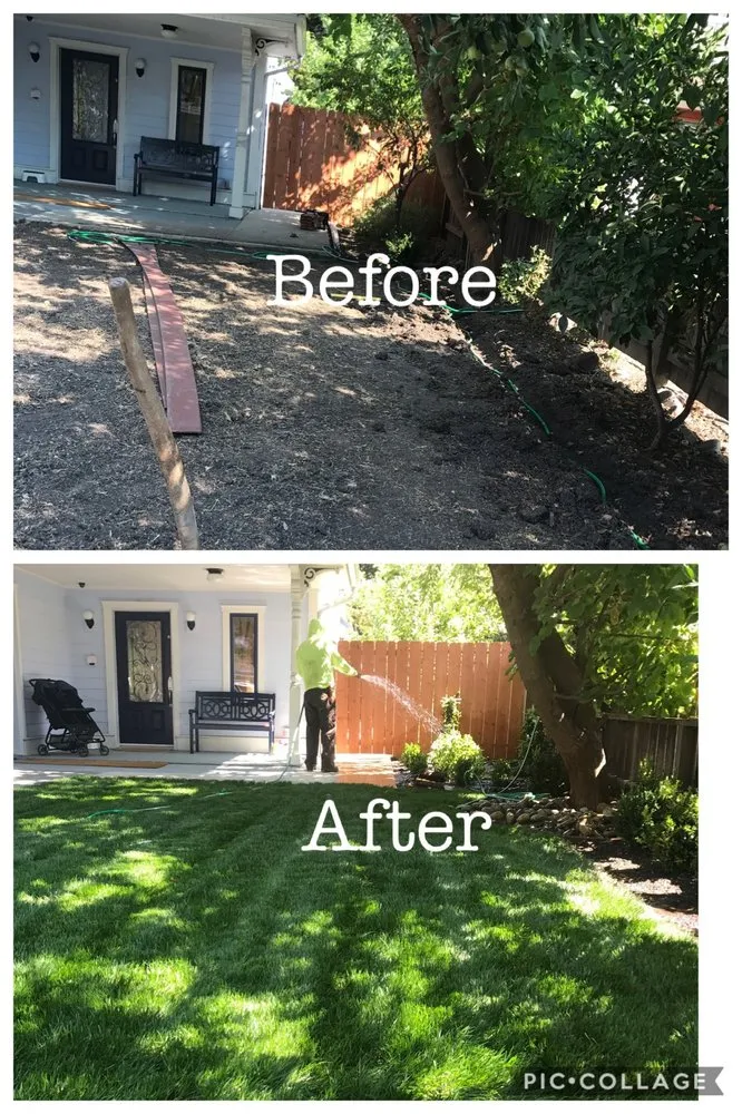 Professional landscape design experts serving San Mateo, CA - Pantoja Gardening & Landscaping Services