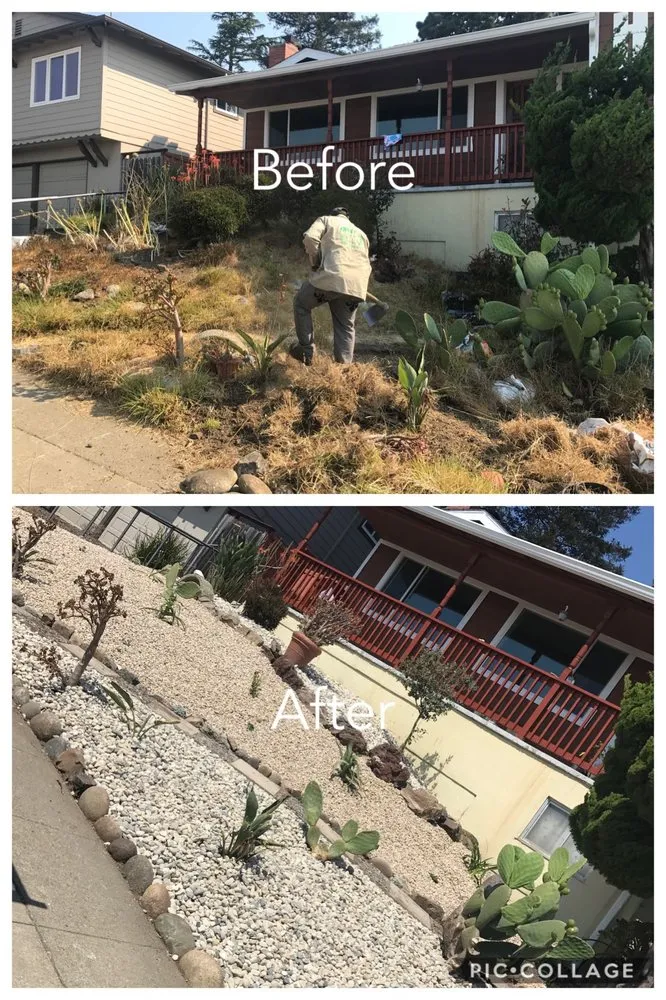 Professional landscape design for homes across San Mateo, CA - Pantoja Gardening & Landscaping Services