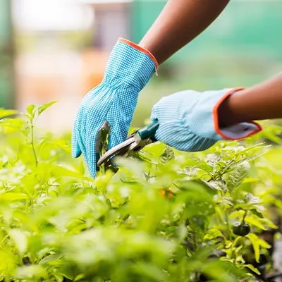 Local landscape design in Greenwich, CT - Pantojas Property Care