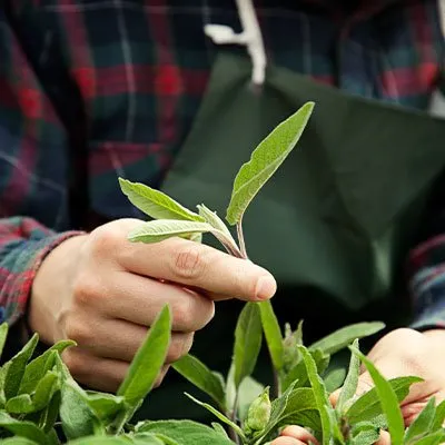 Top-rated residential landscaping near you in Greenwich, CT by Pantojas Property Care