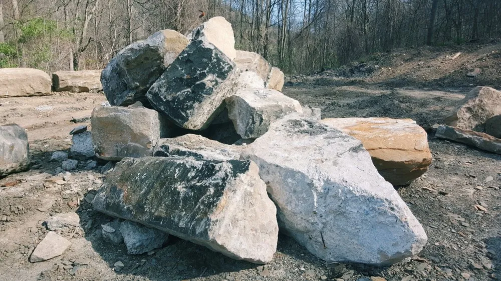 Professional yard cleanup service in Cheswick, PA by Panza Supply