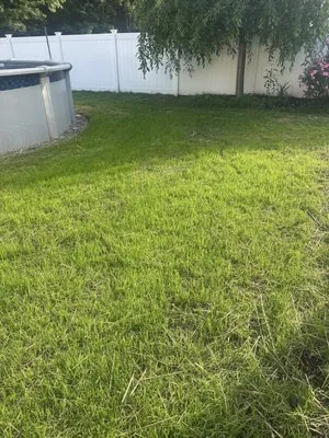 Panzetti Landscaping