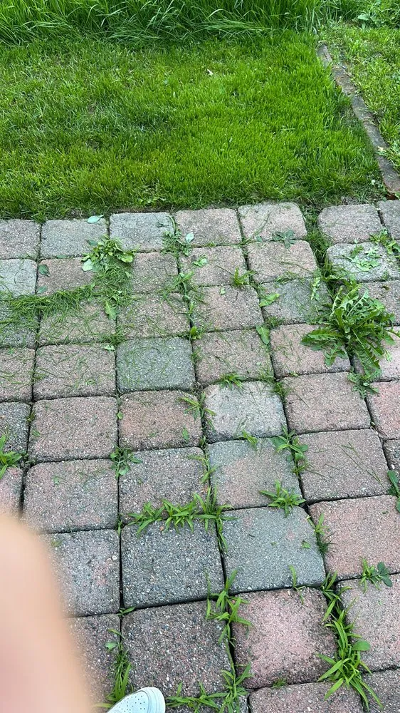 Custom yard cleanup service in Monroe, WA - Paola’s Construction and Landscaping