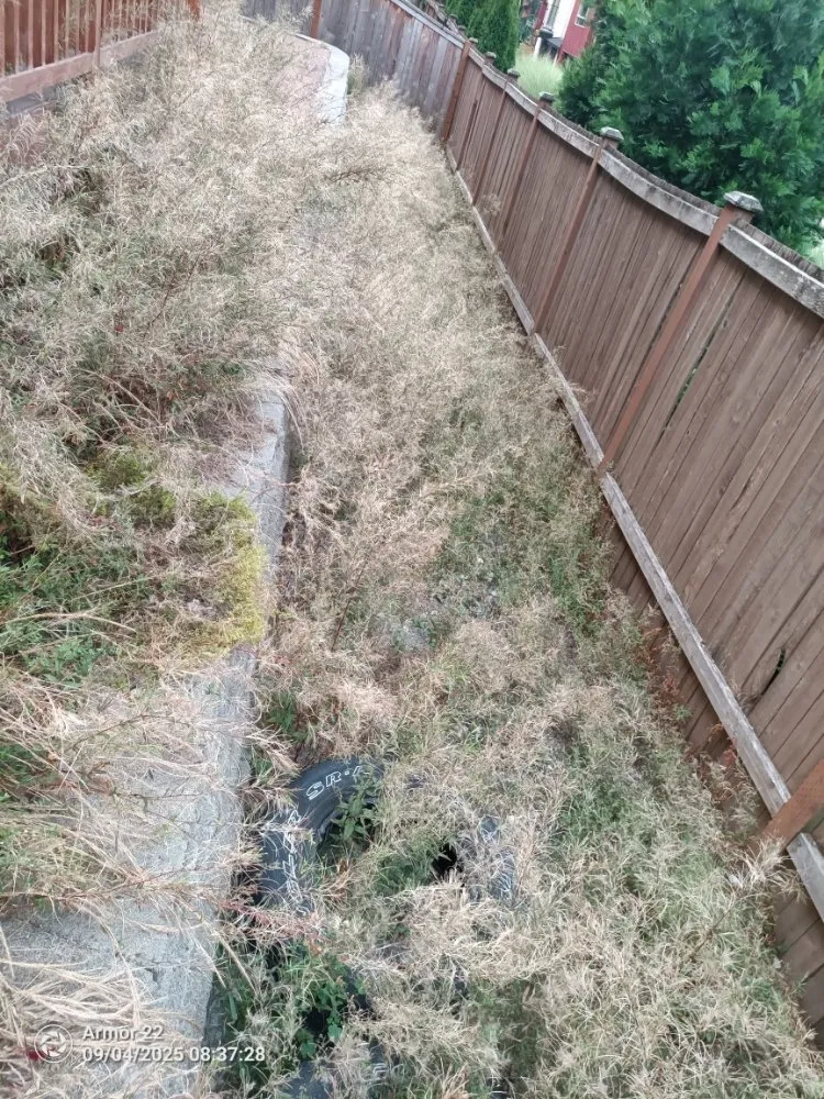 Affordable lawn mowing service in Monroe, WA - Paola’s Construction and Landscaping