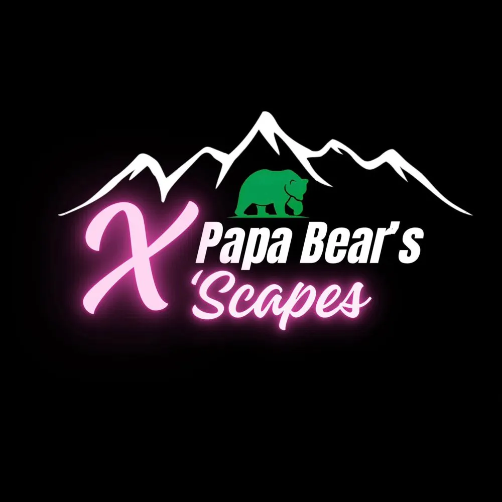Local landscape design near you in Big Bear Lake, CA by Papa Bear’s X’scapes