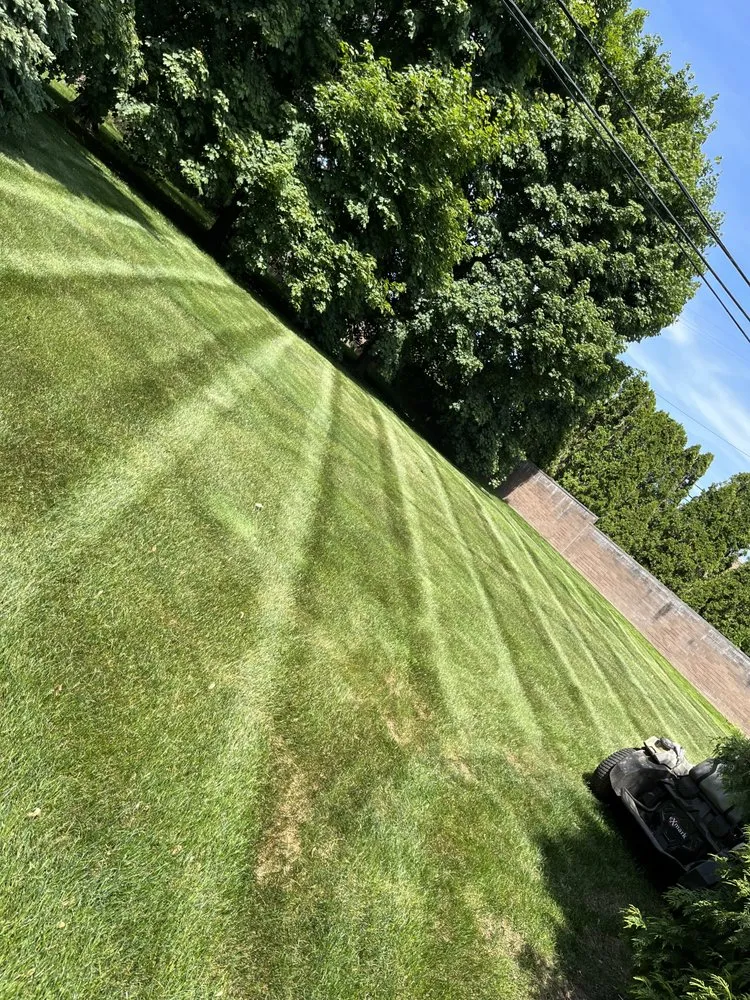 Top-rated landscape installation for residential properties across Washington Township, MI - Papa Dan’s Landscaping