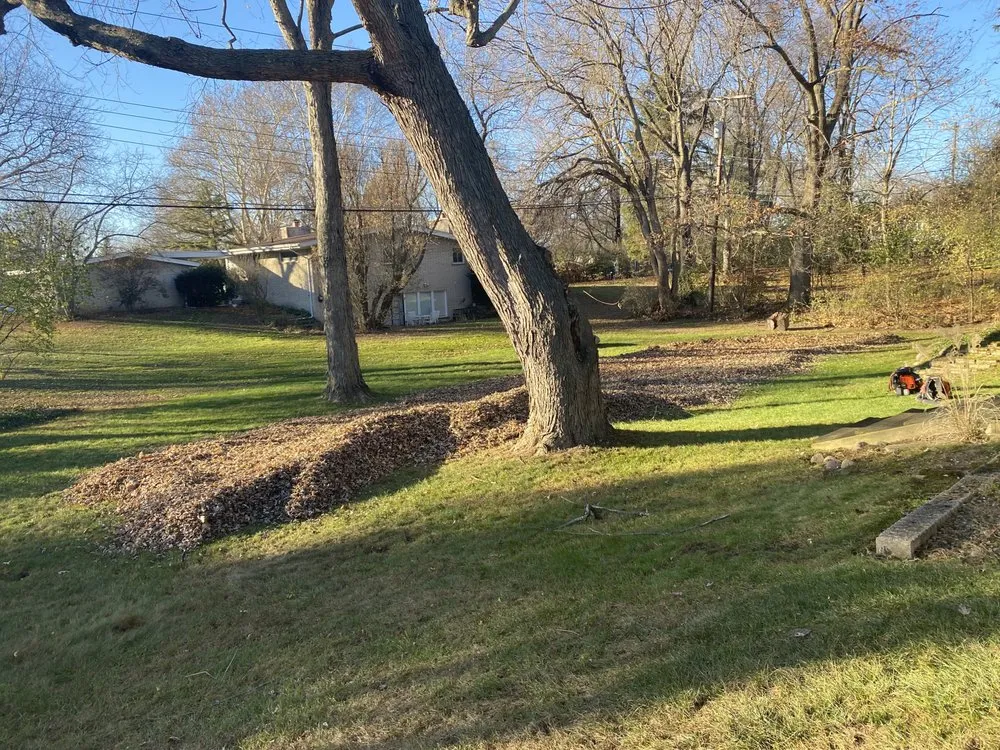 Trusted lawn care service experts serving Washington Township, MI - Papa Dan’s Landscaping