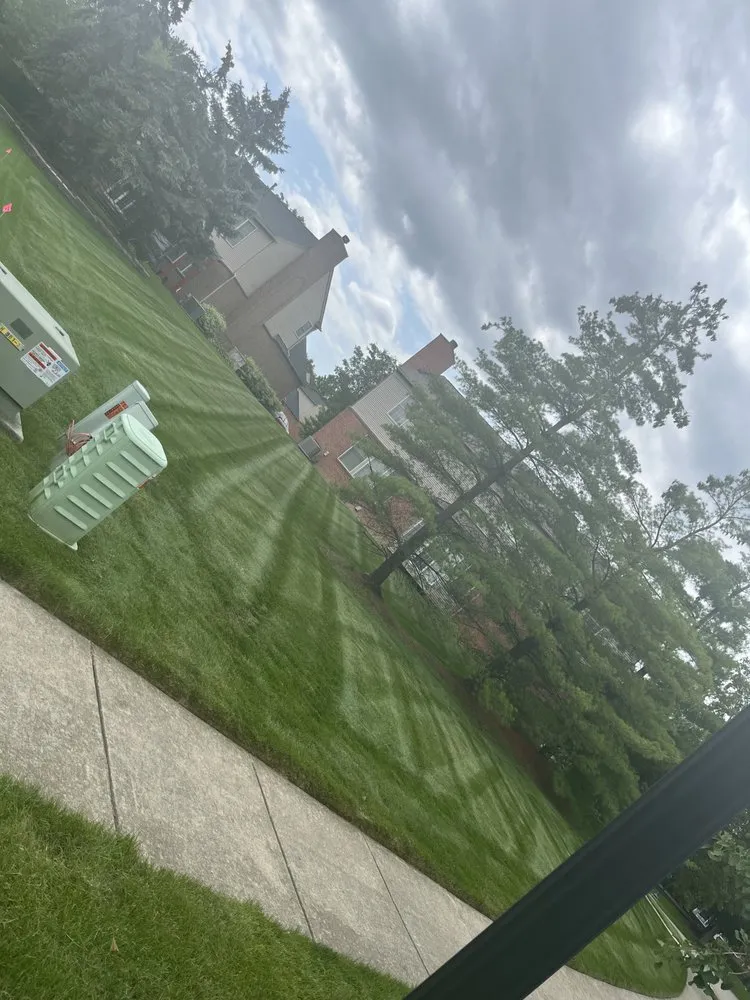 Top-rated landscape installation experts serving Washington Township, MI - Papa Dan’s Landscaping