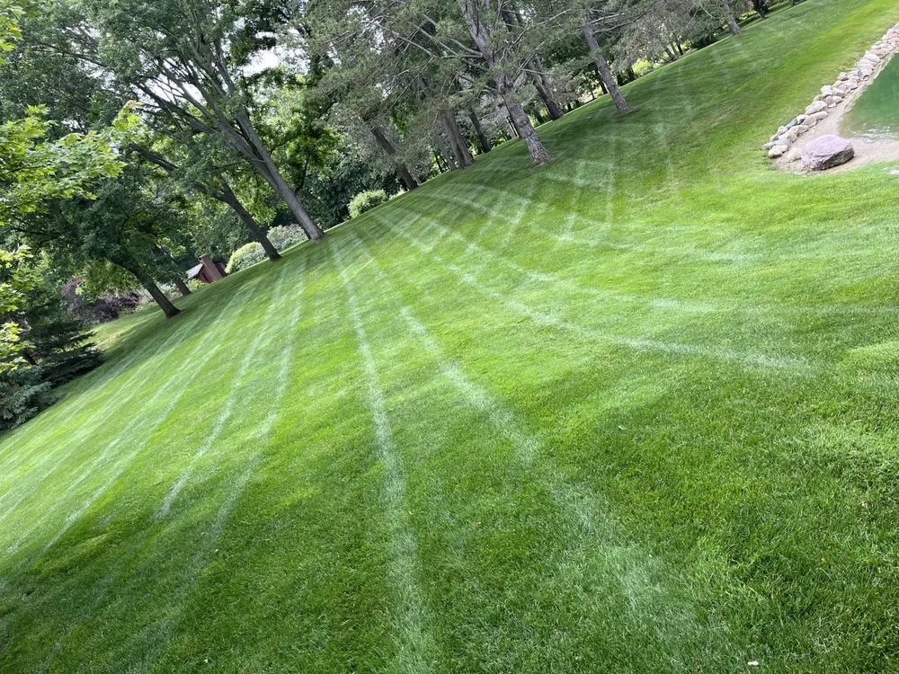 Top-rated yard cleanup service for residential properties in Washington Township, MI by Papa Dan’s Landscaping