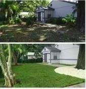 Affordable yard maintenance for year-round maintenance in Brandon, FL by Papa Greens Lawn Care