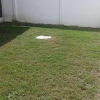 Reliable landscaping services experts serving Brandon, FL - Papa Greens Lawn Care