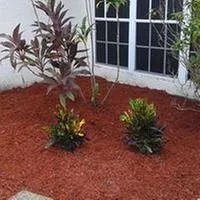 Top-rated garden landscaping in Brandon, FL - Papa Greens Lawn Care