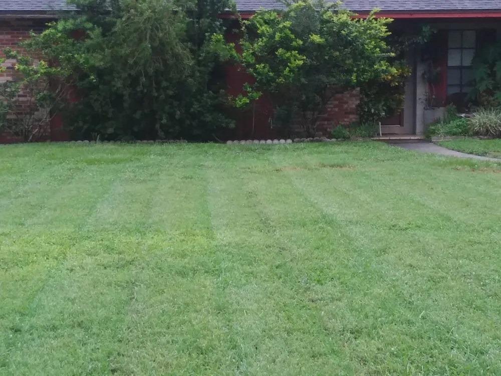 Custom lawn care service in Brandon, FL by Papa Greens Lawn Care
