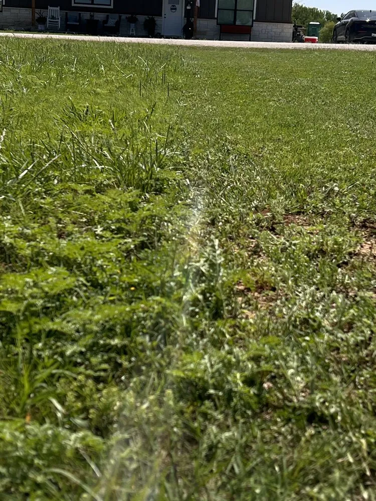 Trusted lawn care service in Stephenville, TX by Papa Jack's Lawn Service