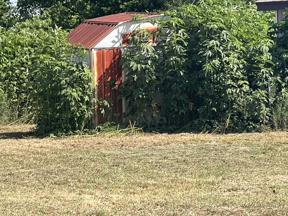 Expert landscape installation in Stephenville, TX by Papa Jack's Lawn Service