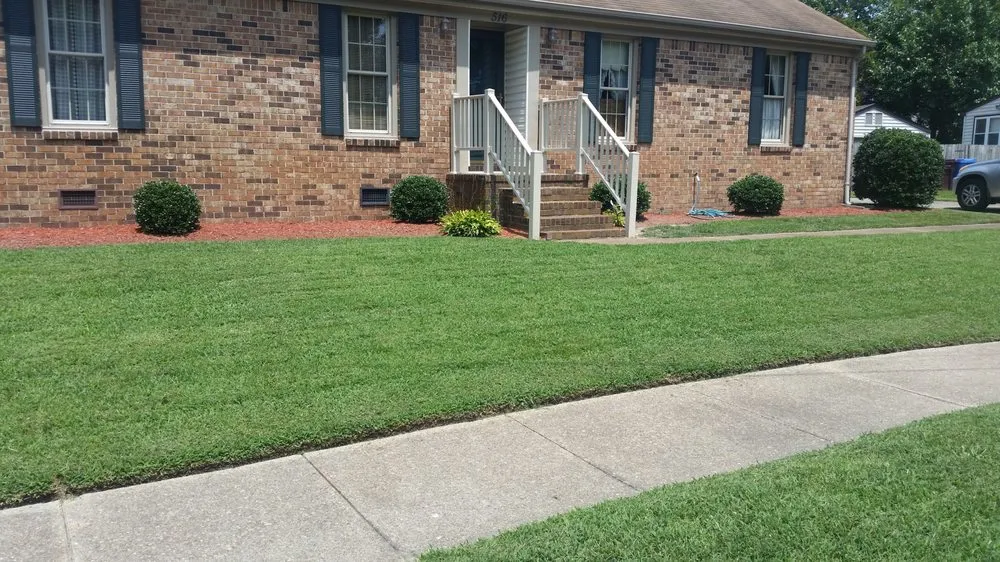 Reliable yard cleanup service with custom design in Roanoke Rapids, NC by Papa Joe's