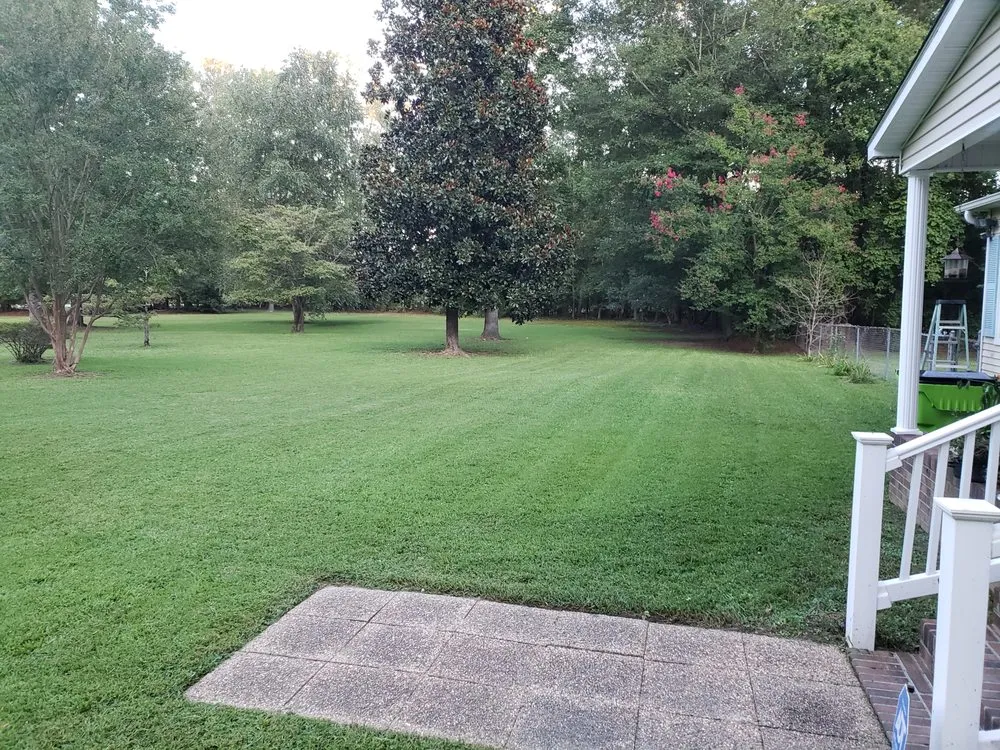 Top-rated landscaping services experts serving Roanoke Rapids, NC - Papa Joe's