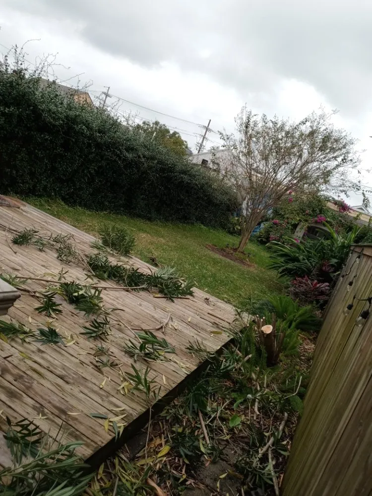 Trusted garden landscaping experts serving New Orleans, LA - Papa J's Recovery Lawn Care & Services