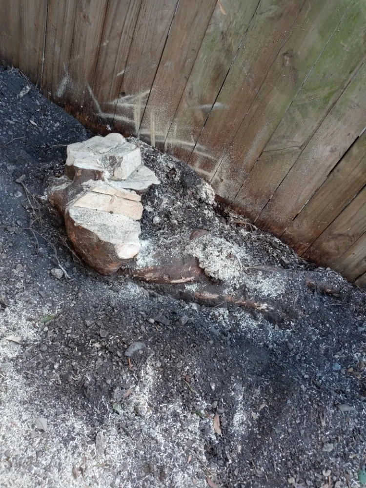 Top-rated lawn care service in New Orleans, LA by Papa J's Recovery Lawn Care & Services