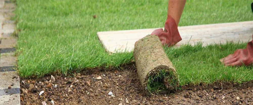 Top-rated garden landscaping for year-round maintenance in Tulsa, OK by Papa Landscape