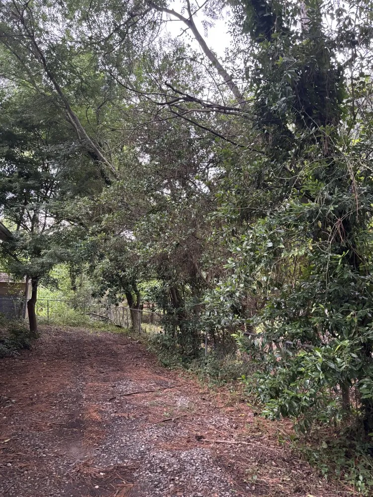 Professional landscape installation experts serving Atlanta, GA - Papa Lawn Care