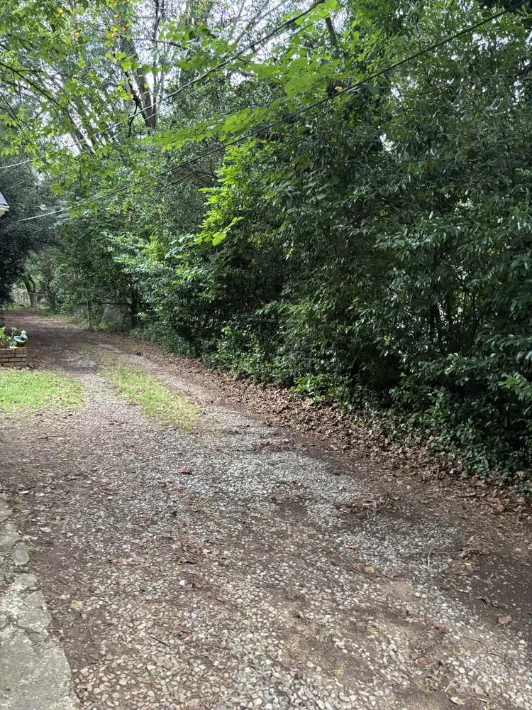 Local lawn mowing service for year-round maintenance in Atlanta, GA by Papa Lawn Care