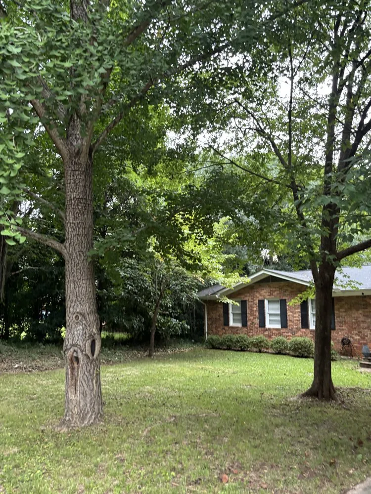 Professional yard maintenance for beautiful yards in Atlanta, GA by Papa Lawn Care