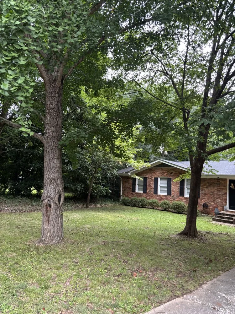 Affordable landscape installation in Atlanta, GA by Papa Lawn Care