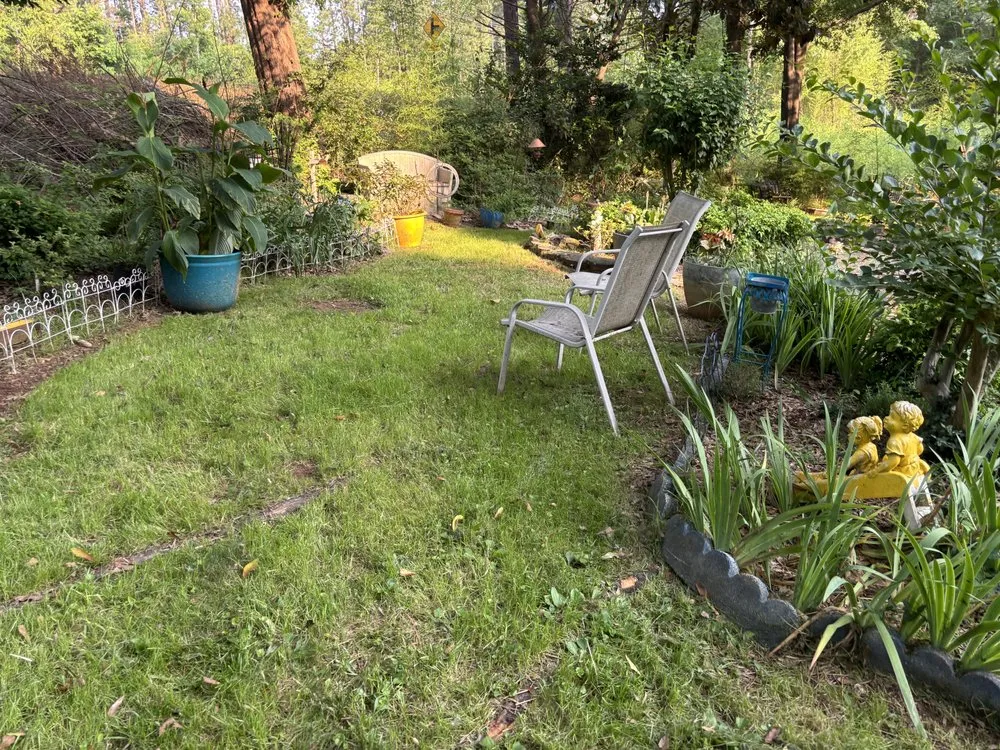 Top-rated residential landscaping in Atlanta, GA by Papa Lawn Care