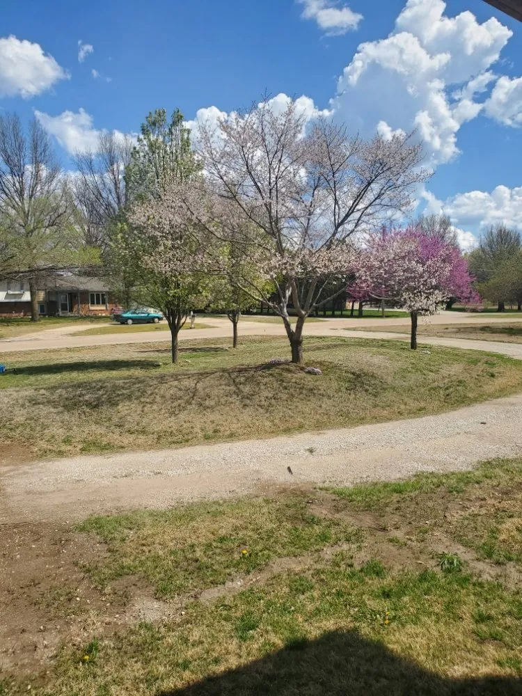 Custom yard cleanup service for beautiful yards across Derby, KS - Papabon's Lawn and Home Service