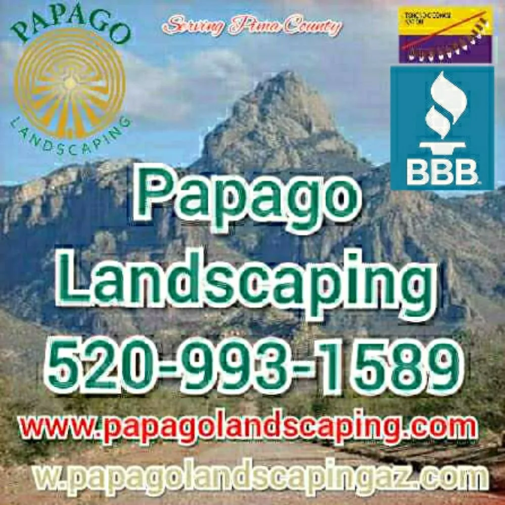 Local residential landscaping for year-round maintenance across Tucson, AZ - Papago Landscaping