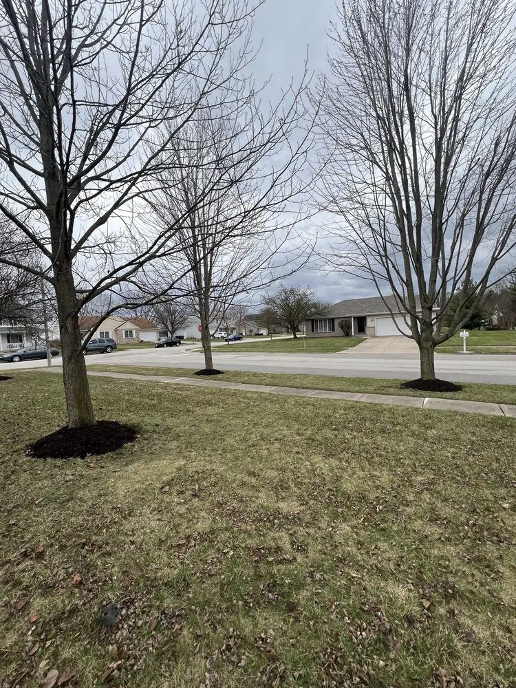 Expert outdoor landscaping for residential properties across Joliet, IL - Papas Landscaping