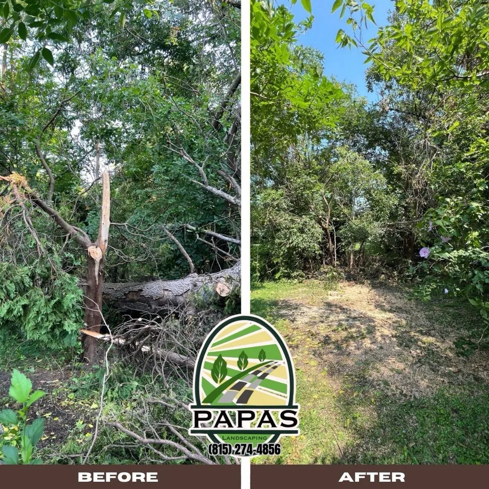 Expert landscape installation for homes across Joliet, IL - Papas Landscaping