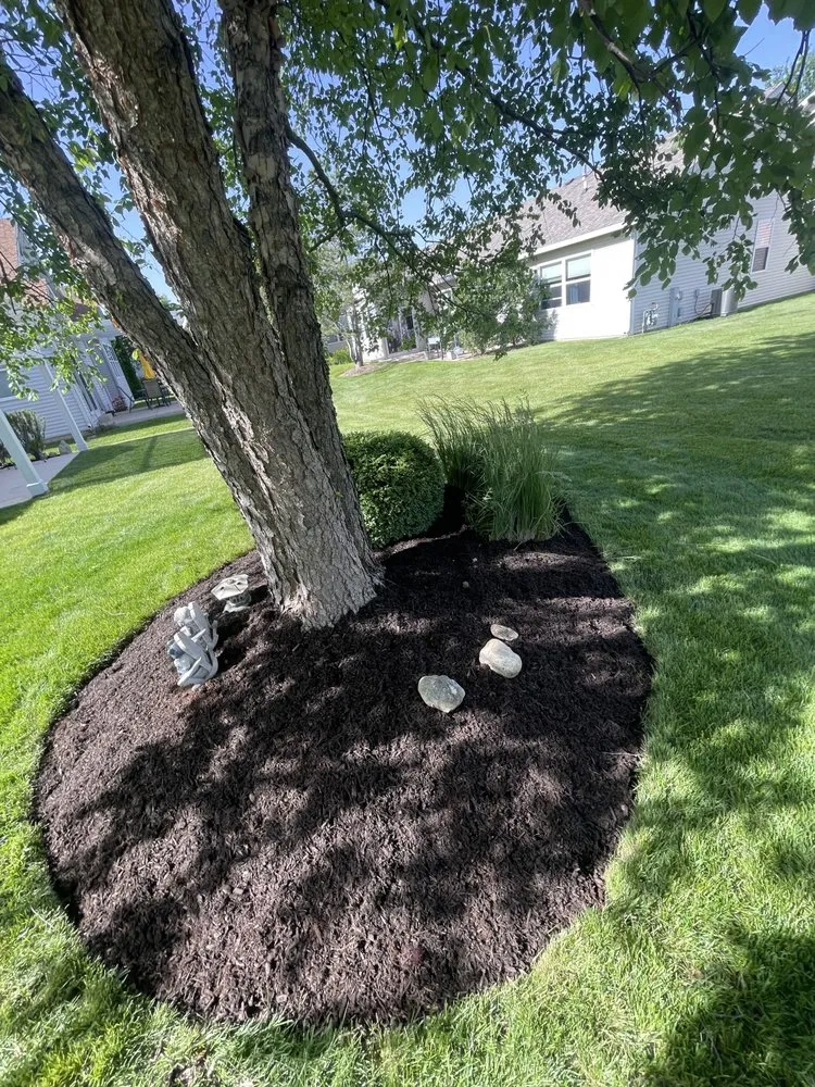 Local yard maintenance for residential properties in Joliet, IL by Papas Landscaping