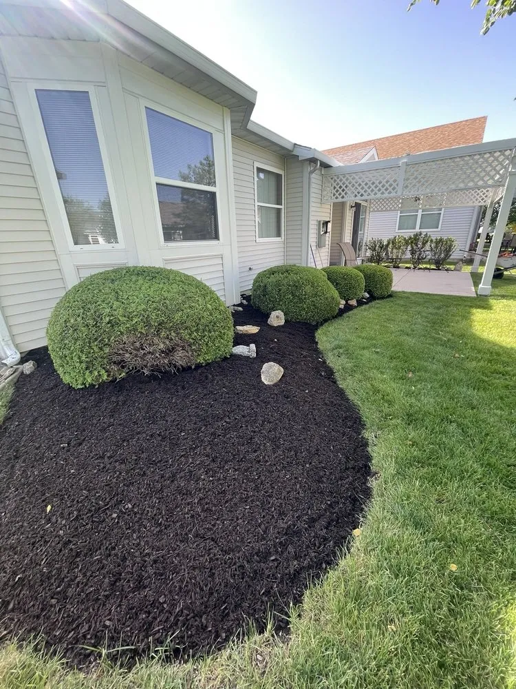 Top-rated yard cleanup service for residential properties in Joliet, IL by Papas Landscaping