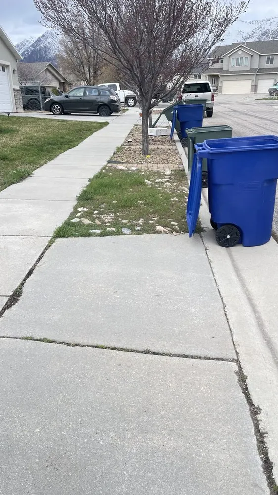 Professional yard cleanup service with custom design across West Haven, UT - Paper boy dp