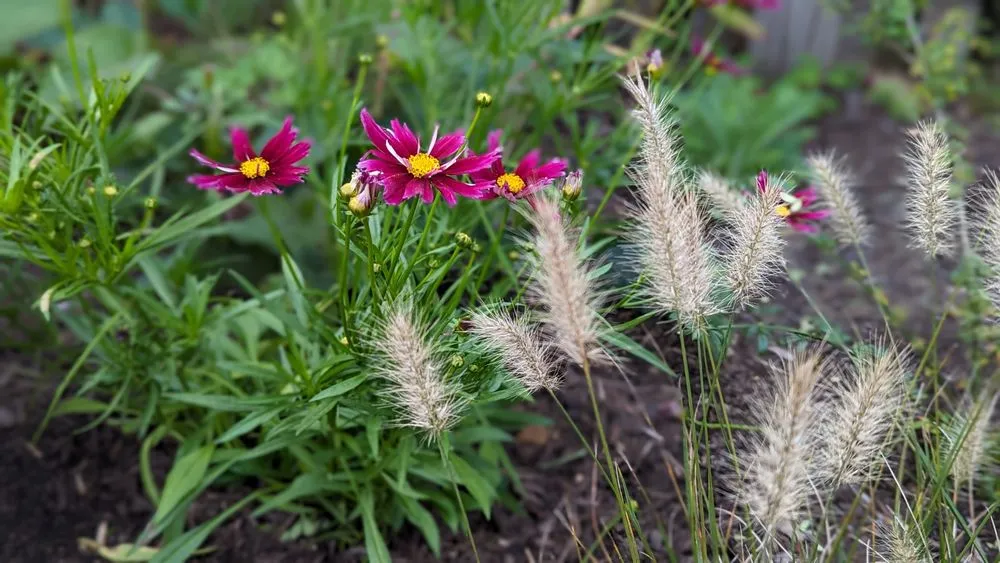 Professional lawn mowing service for year-round maintenance across Reading, MA - Paper Moon Gardens