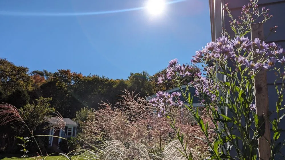 Reliable yard cleanup service in Reading, MA by Paper Moon Gardens