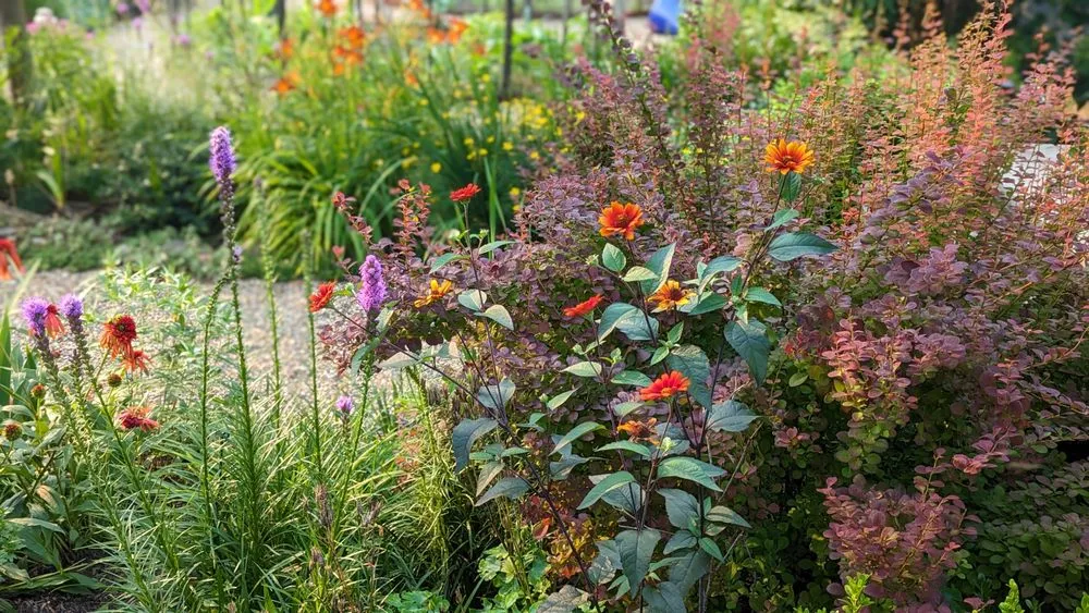 Expert landscaping services for beautiful yards across Reading, MA - Paper Moon Gardens