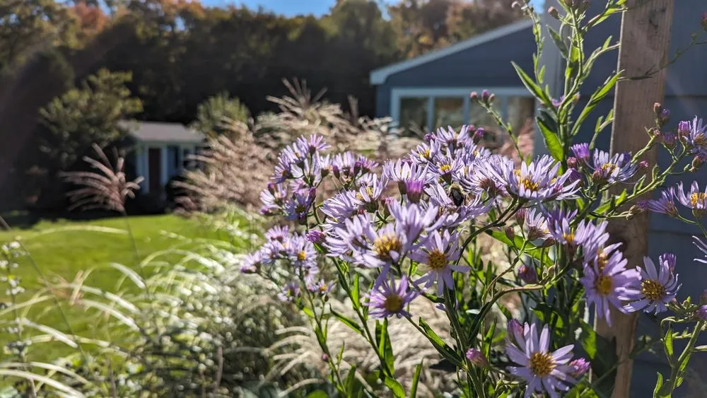 Custom yard maintenance for residential properties across Reading, MA - Paper Moon Gardens