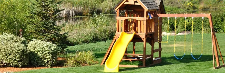 Trusted lawn care service experts serving Dandridge, TN - Papes Handyman